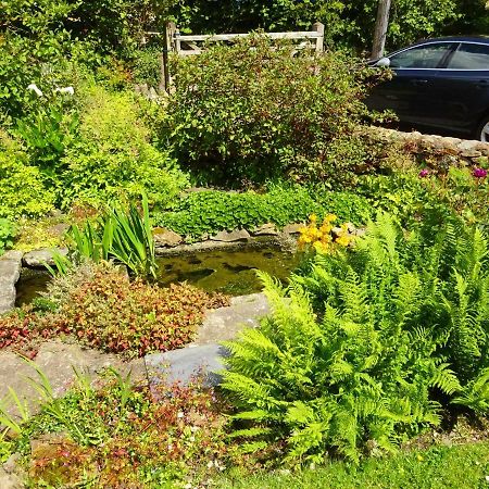 Tabor House B&B Fishguard Bagian luar foto