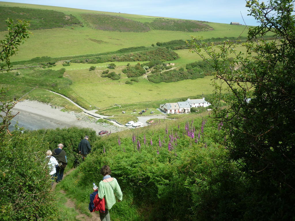 Tabor House B&B Fishguard Bagian luar foto
