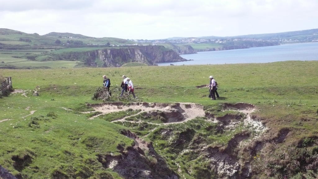 Tabor House B&B Fishguard Bagian luar foto