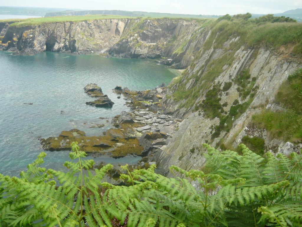 Tabor House B&B Fishguard Bagian luar foto